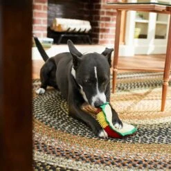 Frisco Pizza Slice Plush Squeaky Dog Toy & Frisco Taco Plush Squeaky Dog Toy 13 Frisco Pizza Slice Plush Squeaky Dog Toy & Frisco Taco Plush Squeaky Dog Toy -Frisco 302494 PT6. AC SS1800 V1623071256