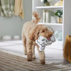 Frisco St. Patrick's Thought Bubble Reversible Plush Squeaky Dog Toy 10 Frisco St. Patrick's Thought Bubble Reversible Plush Squeaky Dog Toy -Frisco 303134 PT4. AC SS1800 V1702500565