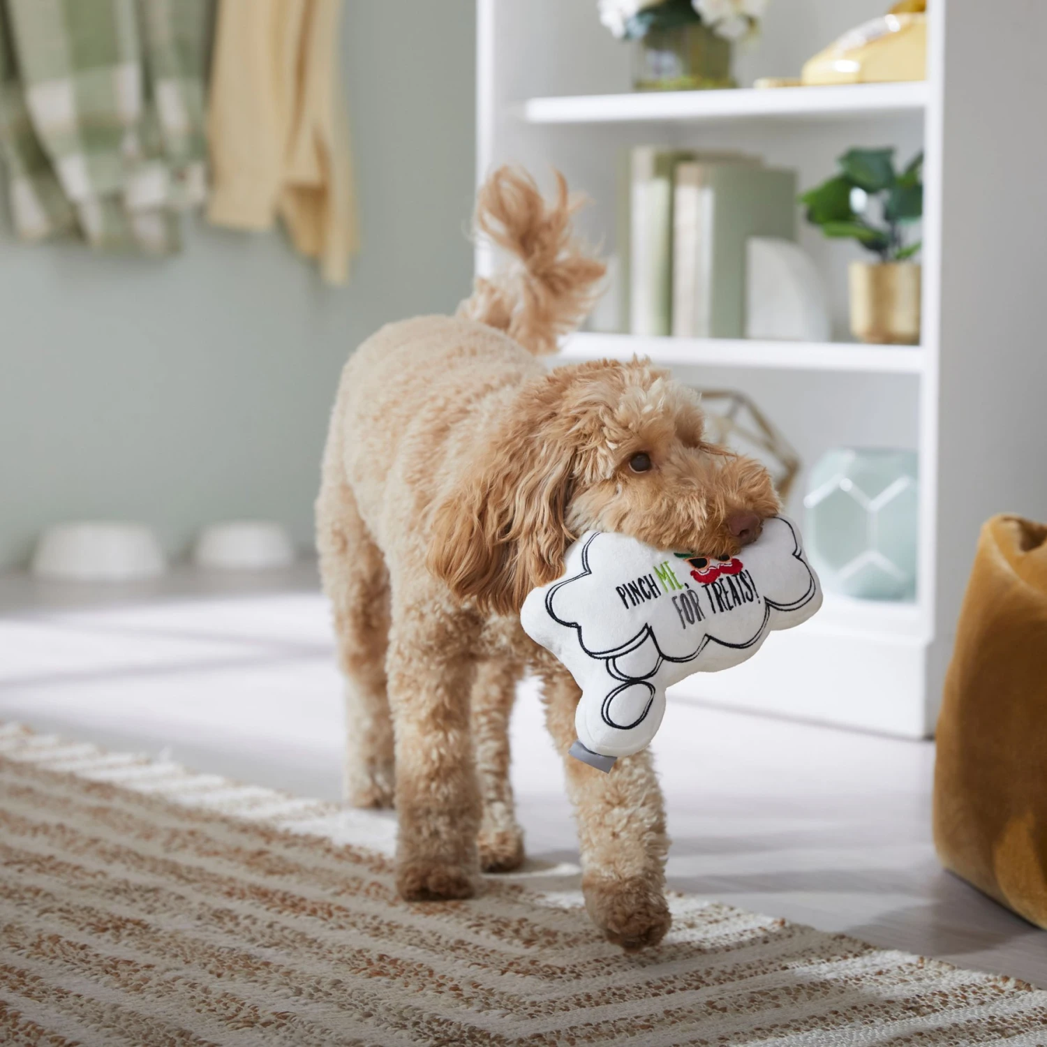 Frisco St. Patrick's Thought Bubble Reversible Plush Squeaky Dog Toy 5 Frisco St. Patrick's Thought Bubble Reversible Plush Squeaky Dog Toy - Image 5