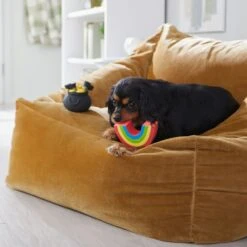 Frisco St. Patrick's Rainbow And Pot Of Gold Latex Squeaky Dog Toy 8 Frisco St. Patrick's Rainbow And Pot Of Gold Latex Squeaky Dog Toy -Frisco 303136 PT4. AC SS1800 V1702500566