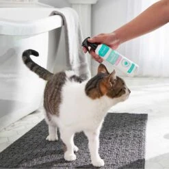 Frisco Aloe Hydrating Dog & Cat Spray, Sweet Nectar Scent & Frisco Oatmeal Dog & Cat Shampoo, Almond Scent -Frisco 303372 PT4. AC SS1800 V1623076060