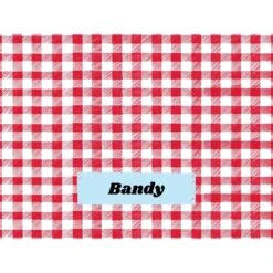 Frisco Personalized Gingham Plaid Soft Fleece Cat & Dog Blanket, 30" X 40" -Frisco 304001 PT4. AC SS1800 V1637609279