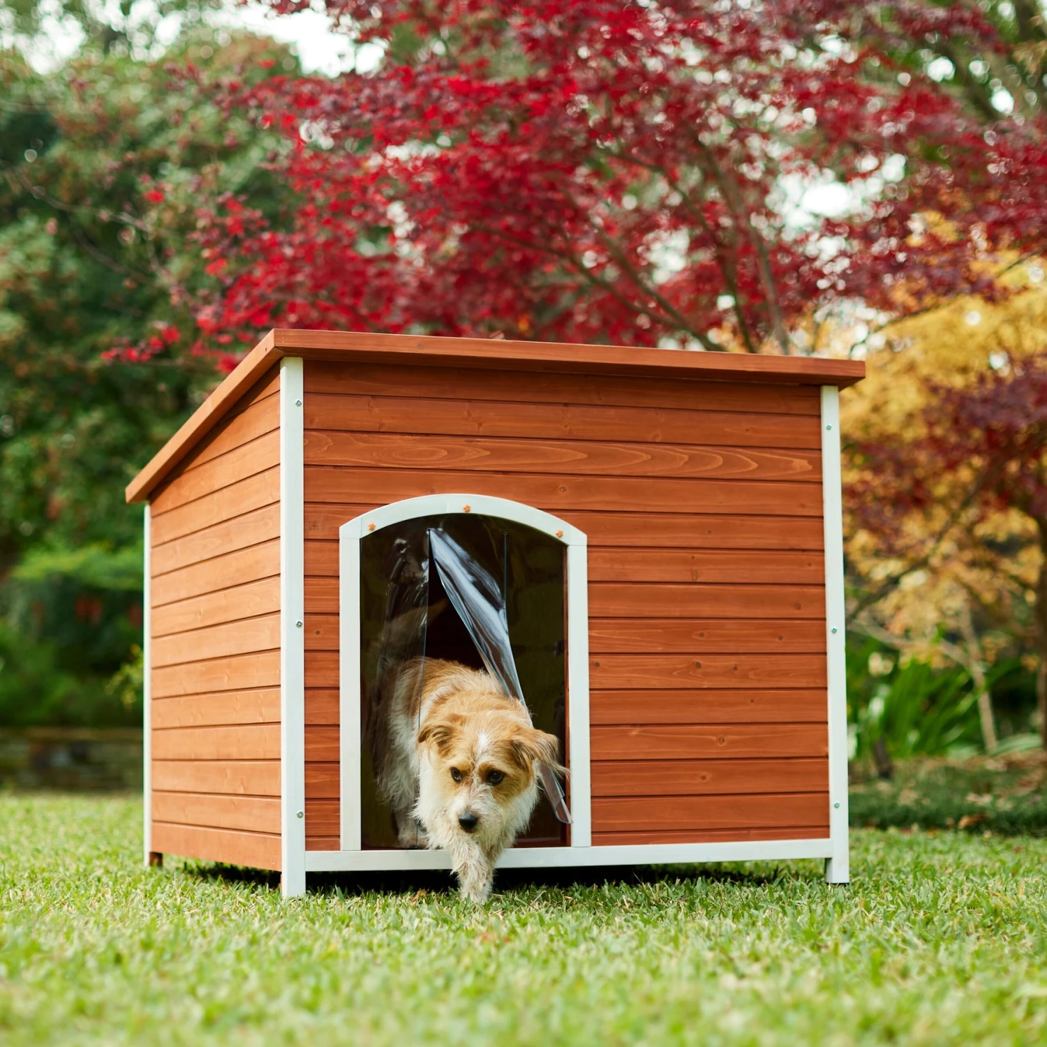Frisco Craftsman Wooden Outdoor Dog House 1 Frisco Craftsman Wooden Outdoor Dog House
