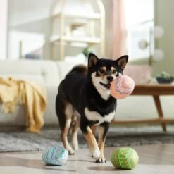 Frisco Easter Eggs Plush Squeaky Dog Toy 10 Frisco Easter Eggs Plush Squeaky Dog Toy -Frisco 304954 PT4. AC SS1800 V1702500565