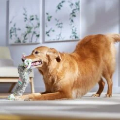 Frisco Easter Bunny Plush With Rope Squeaky Dog Toy -Frisco 304974 PT4. AC SS1800 V1702500566