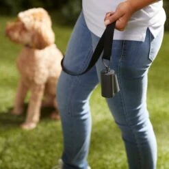 Frisco Poop Bag Square Design Dispenser 12 Frisco Poop Bag Square Design Dispenser -Frisco 309818 PT5. AC SS1800 V1669101248