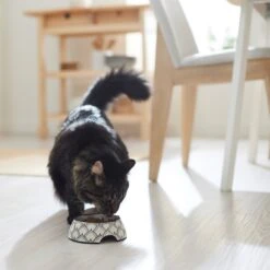 Frisco Moroccan Design Stainless Steel Dog & Cat Bowl 11 Frisco Moroccan Design Stainless Steel Dog & Cat Bowl -Frisco 311963 PT3. AC SS1800 V1642542386