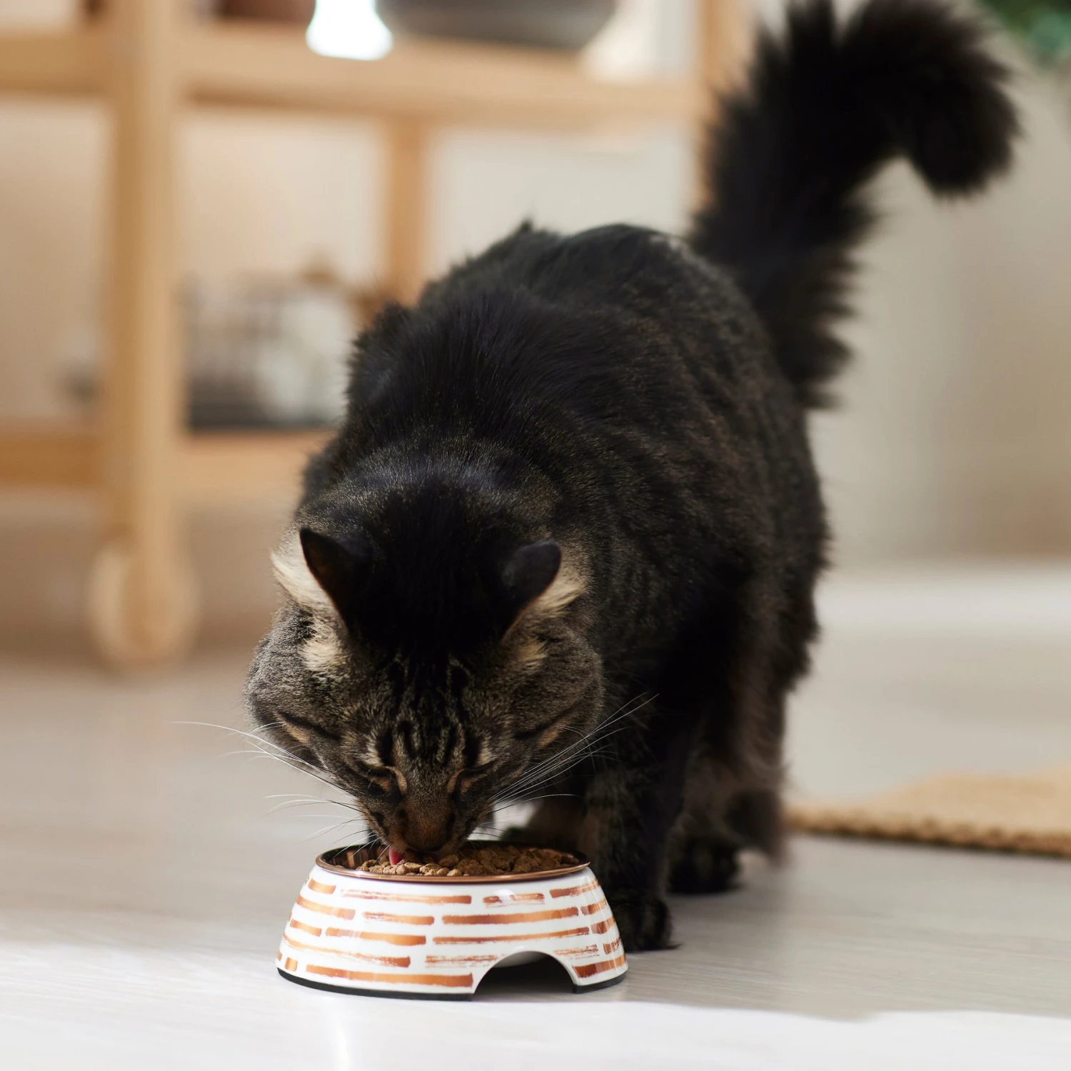 Frisco Copper Print Design Stainless Steel Dog & Cat Bowl 4 Frisco Copper Print Design Stainless Steel Dog & Cat Bowl - Image 4