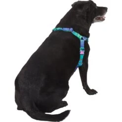 Frisco Green Ombre Style Dog Harness 8 Frisco Green Ombre Style Dog Harness -Frisco 324531 PT3. AC SS1800 V1642518631