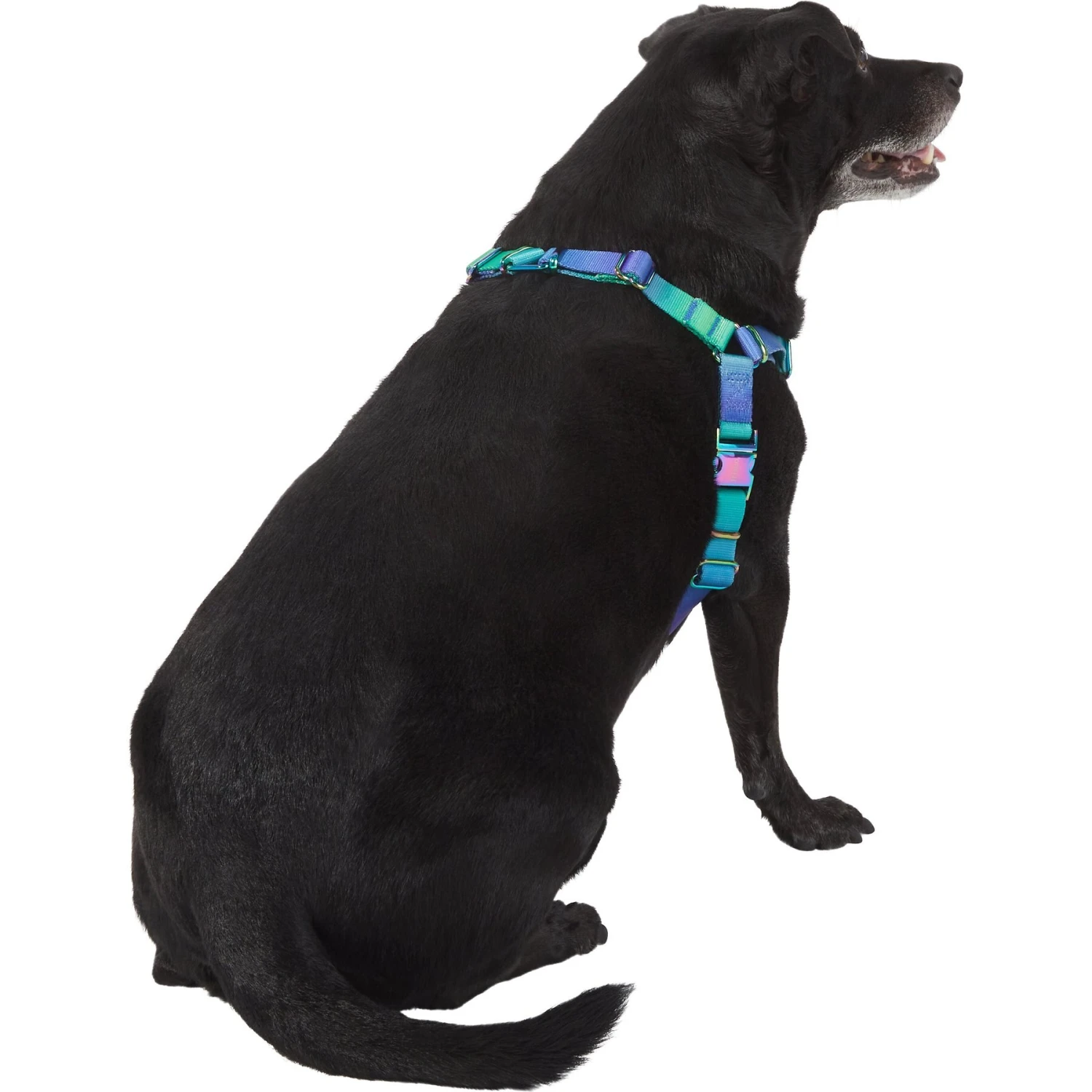 Frisco Green Ombre Style Dog Harness 4 Frisco Green Ombre Style Dog Harness - Image 4