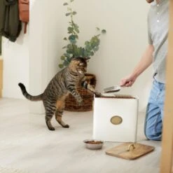 Frisco Premium Airtight Dog & Cat Food Storage Canister With Scoop 9 Frisco Premium Airtight Dog & Cat Food Storage Canister With Scoop -Frisco 331486 PT3. AC SS1800 V1657656891