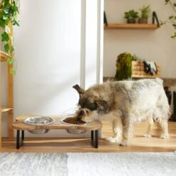 Frisco Premium Wood Elevated Bone Shape Stainless Steel Double Diner Dog & Cat Bowl, 3 Cup 8 Frisco Premium Wood Elevated Bone Shape Stainless Steel Double Diner Dog & Cat Bowl, 3 Cup -Frisco 331497 PT2. AC SS1800 V1657656892