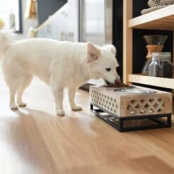 Frisco Premium Wood Elevated Stainless Steel Double Diner Dog & Cat Bowl, 3 Cup 7 Frisco Premium Wood Elevated Stainless Steel Double Diner Dog & Cat Bowl, 3 Cup -Frisco 331507 PT2. AC SS1800 V1657656894