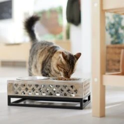 Frisco Premium Wood Elevated Stainless Steel Double Diner Dog & Cat Bowl, 3 Cup 8 Frisco Premium Wood Elevated Stainless Steel Double Diner Dog & Cat Bowl, 3 Cup -Frisco 331507 PT3. AC SS1800 V1657656894