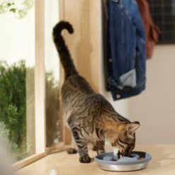 Frisco Silicone Stainless Paw Steel Slow Feeder Dog & Cat Bowl -Frisco 331528 PT3. AC SS1800 V1657656874