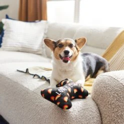 Frisco Pride Proud Pup Bone Plush Squeaky Dog Toy -Frisco 331638 PT3. AC SS1800 V1647355940