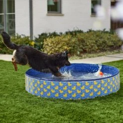 Front Page 29 Frisco Outdoor Dog Swimming Pool, Rubber Ducky