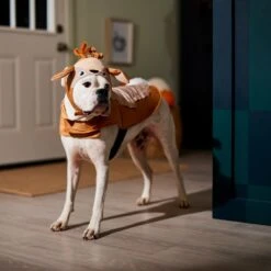 Frisco Deer Dog & Cat Costume 12 Frisco Deer Dog & Cat Costume -Frisco 334874 PT7. AC SS1800 V1657720507