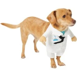 Frisco Front Walking Doctor Dog & Cat Costume 11 Frisco Front Walking Doctor Dog & Cat Costume -Frisco 334900 PT3. AC SS1800 V1658344549