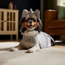 Frisco Elephant Dog & Cat Costume 12 Frisco Elephant Dog & Cat Costume -Frisco 334915 PT7. AC SS1800 V1657718739