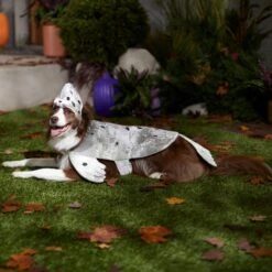 Frisco Seal Dog & Cat Costume -Frisco 334983 PT7. AC SS1800 V1657730462