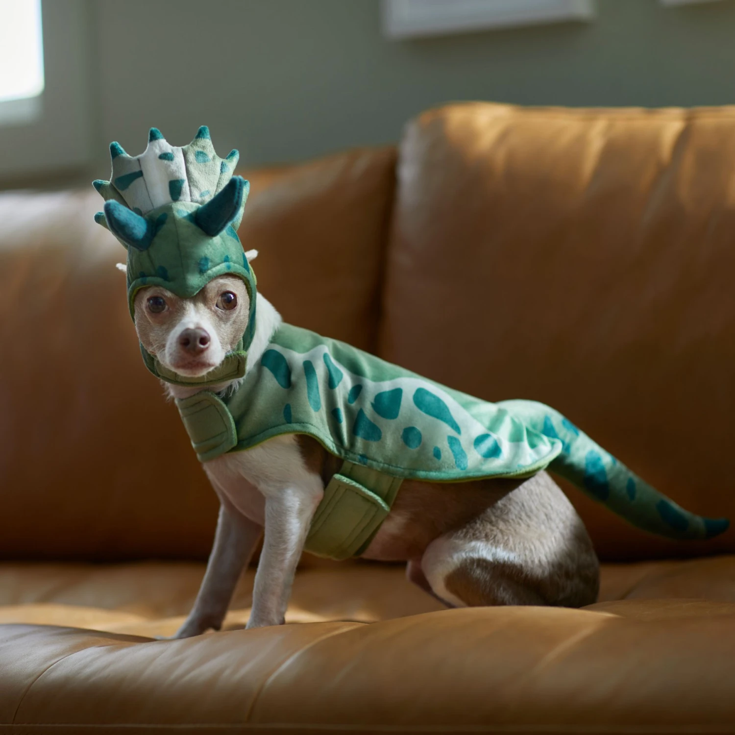 Frisco Triceratops Dog & Cat Costume 7 Frisco Triceratops Dog & Cat Costume - Image 7
