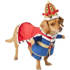 Frisco Front Walking Royal King Dog & Cat Costume 11 Frisco Front Walking Royal King Dog & Cat Costume -Frisco 335127 PT3. AC SS1800 V1658346228