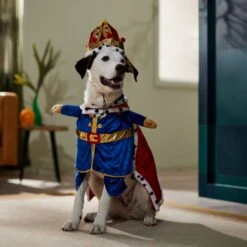 Frisco Front Walking Royal King Dog & Cat Costume 14 Frisco Front Walking Royal King Dog & Cat Costume -Frisco 335127 PT7. AC SS1800 V1659037728