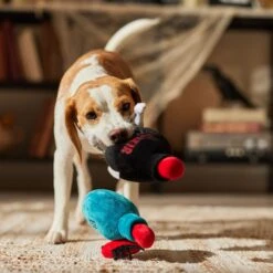 Frisco Halloween Elixirs Plush Squeaky Dog Toy -Frisco 344004 PT3. AC SS1800 V1689878498