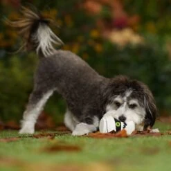 Frisco Halloween Mummy Latex Squeaky Dog Toy -Frisco 344140 PT3. AC SS1800 V1657657042