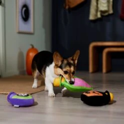 Frisco Halloween Potion Bottles Plush Squeaky Dog Toy -Frisco 344144 PT3. AC SS1800 V1657657048