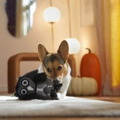 Frisco Halloween Spooky Owl Plush Squeaky Dog Toy -Frisco 344162 PT3. AC SS1800 V1657657049