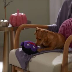 Frisco Halloween Vampire Round Plush Squeaky Dog Toy -Frisco 344168 PT3. AC SS1800 V1657657049