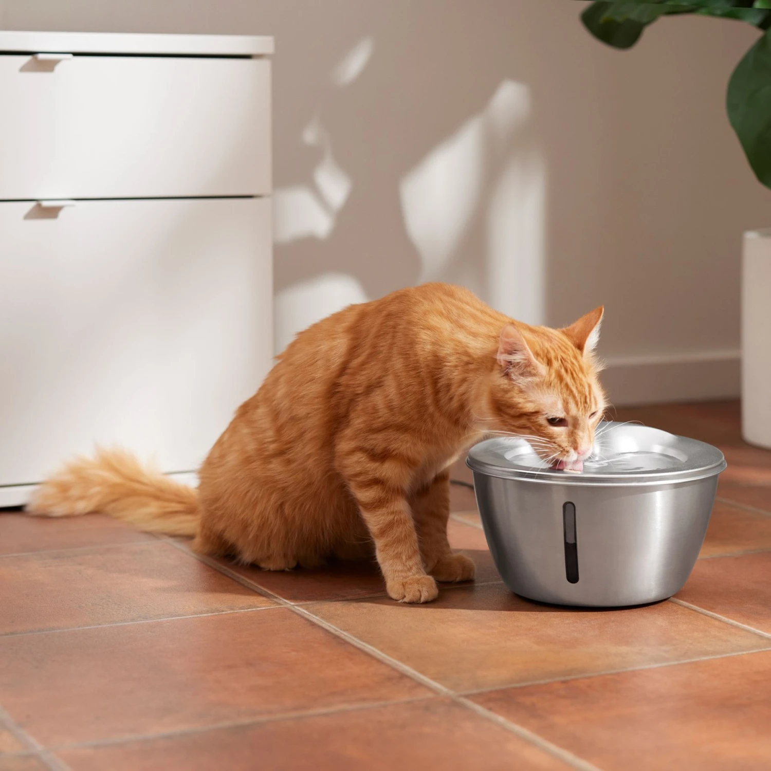 Frisco Stainless Steel Heart Dog & Cat Fountain 1 Frisco Stainless Steel Heart Dog & Cat Fountain