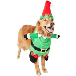 Frisco Front Walking Elf Dog & Cat Costume -Frisco 357956 PT4. AC SS1800 V1660757458