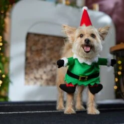 Frisco Front Walking Elf Dog & Cat Costume -Frisco 357956 PT7. AC SS1800 V1661799329