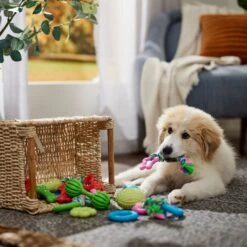 Frisco Small Breed Puppies Rope & TPR Variety Pack Puppy Toy 8 Frisco Small Breed Puppies Rope & TPR Variety Pack Puppy Toy -Frisco 358552 PT4. AC SS1800 V1669908588