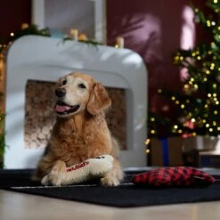 Frisco Holiday "Happy Pawlidays" Bone Plush Squeaky Dog Toy, Medium, 2 Count -Frisco 360942 PT3. AC SS1800 V1661874360