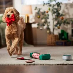 Frisco Holiday Gift Wrapping Set Plush Squeaky Dog Toy 7 Frisco Holiday Gift Wrapping Set Plush Squeaky Dog Toy -Frisco 360968 PT3. AC SS1800 V1661874420