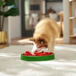 Frisco Watermelon Interactive Puzzle Dog Toy, Advanced 12 Frisco Watermelon Interactive Puzzle Dog Toy, Advanced -Frisco 506322 PT5. AC SS1800 V1674667034