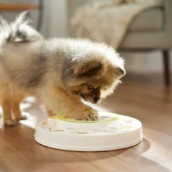 Frisco Tiered Cake Interactive Puzzle Dog Toy, Easy 12 Frisco Tiered Cake Interactive Puzzle Dog Toy, Easy -Frisco 506346 PT5. AC SS1800 V1674666566