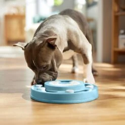 Frisco Two Tier Interactive Puzzle Dog Toy, Easy -Frisco 506370 PT5. AC SS1800 V1674671566