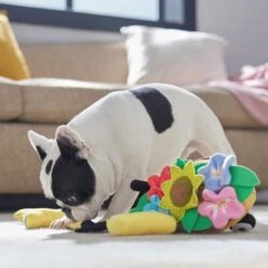 Frisco Spring Wheelbarrow Hide And Seek Puzzle Plush Squeaky Dog Toy 10 Frisco Spring Wheelbarrow Hide And Seek Puzzle Plush Squeaky Dog Toy -Frisco 541510 PT4. AC SS1800 V1702500565