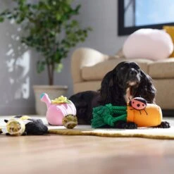 Frisco Spring Plush & Rope Variety Pack Squeaky Dog Toy 8 Frisco Spring Plush & Rope Variety Pack Squeaky Dog Toy -Frisco 541526 PT4. AC SS1800 V1702500565