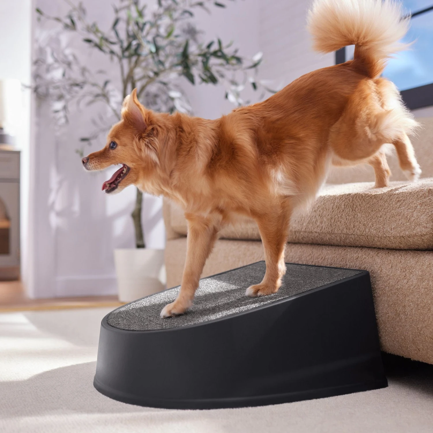 Frisco Plastic Easy Step Cat & Dog Stair 1 Frisco Plastic Easy Step Cat & Dog Stair