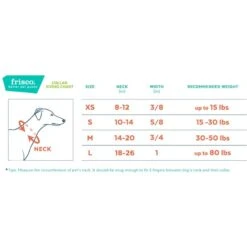 Frisco Solid Nylon Dog Leash + 4 Items -Frisco 623766 PT6. AC SS1800 V1662739135