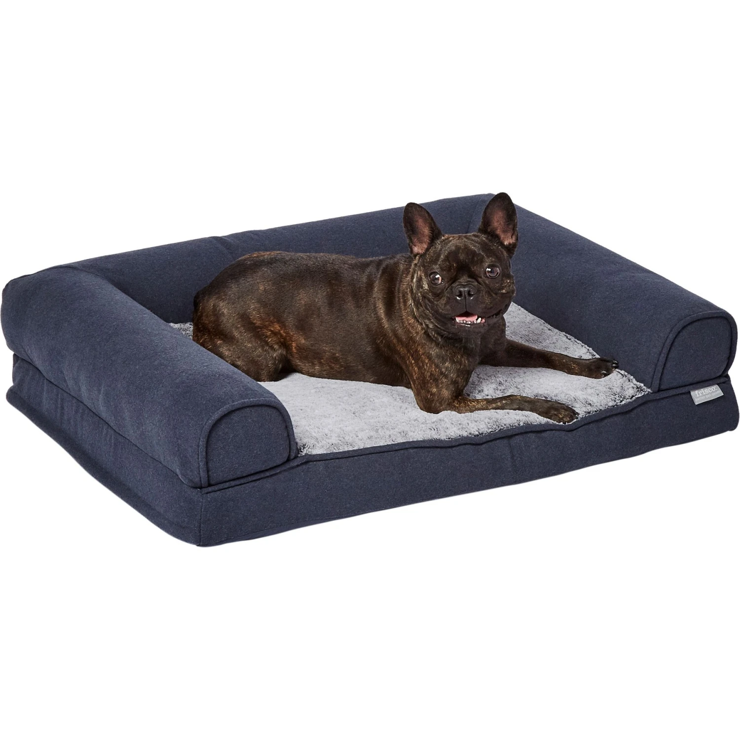 Frisco Top Grain Leather Leash + 4 Items 2 Frisco Top Grain Leather Leash + 4 Items - Image 2