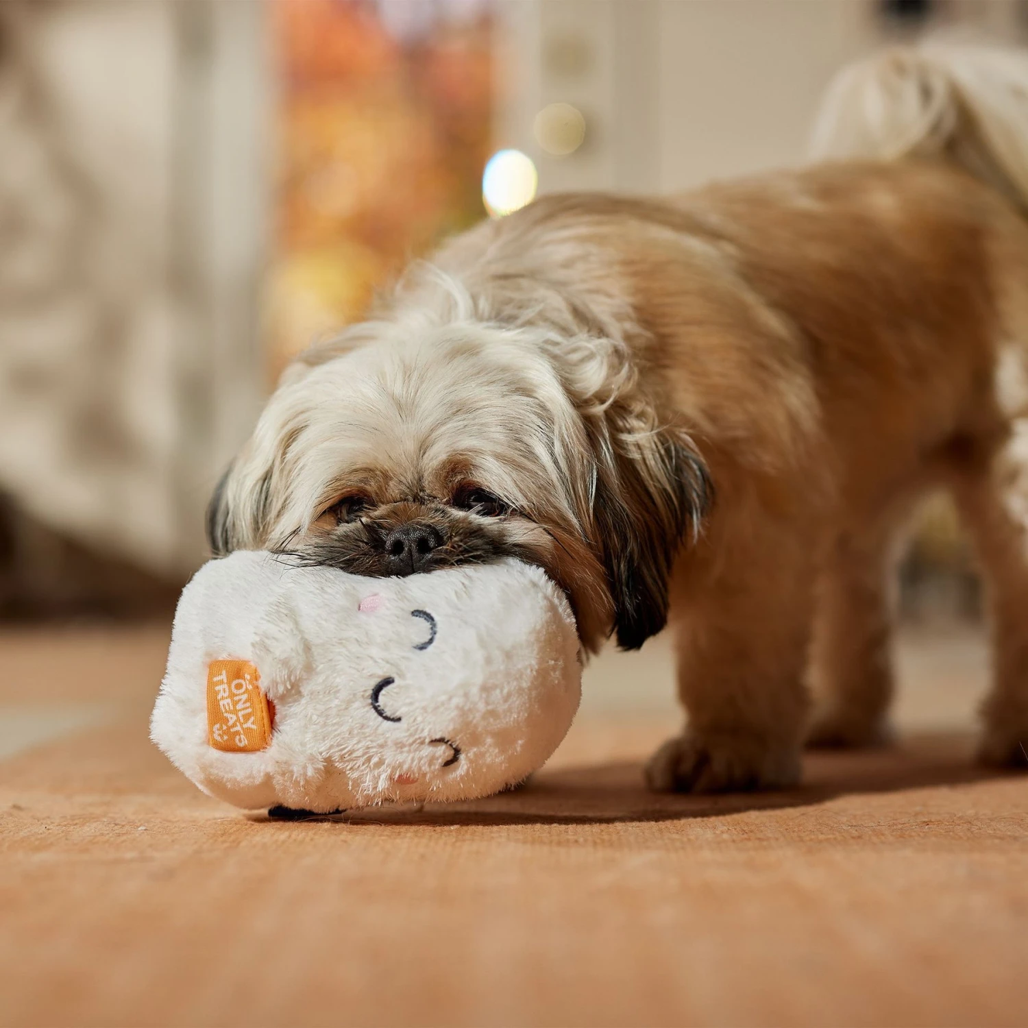 Frisco Halloween Trick Or Treat Ghost Plush Squeaky Dog Toy 4 Frisco Halloween Trick Or Treat Ghost Plush Squeaky Dog Toy - Image 4