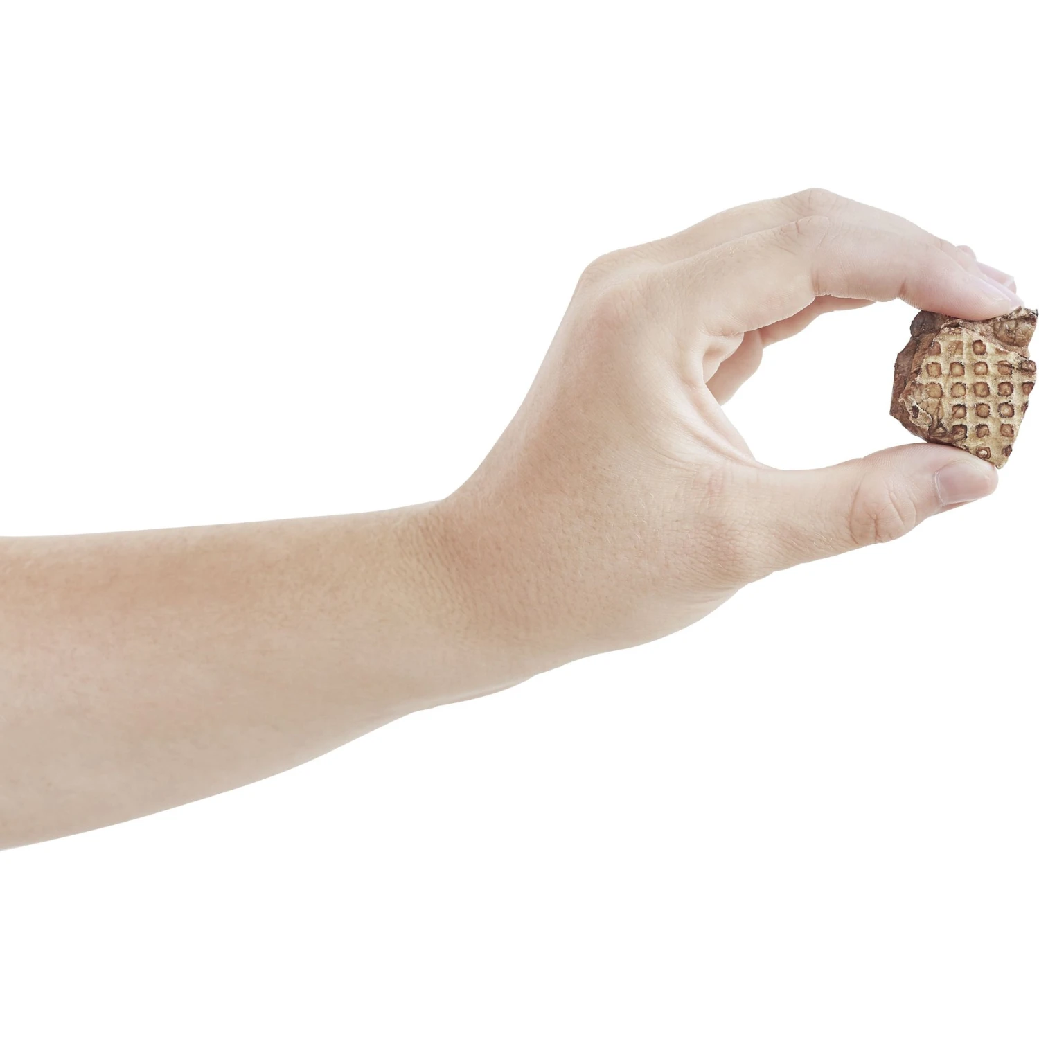 Frisco Giant Non-Skid Ultra Premium Dog Training & Potty Pads & Bones & Chews All-Natural Lamb Lung Dehydrated Dog Treats 9 Frisco Giant Non-Skid Ultra Premium Dog Training & Potty Pads & Bones & Chews All-Natural Lamb Lung Dehydrated Dog Treats - Image 9