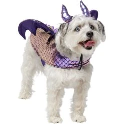 Frisco Dragon Dog & Cat Costume Accessory